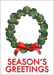 Landscape Christmas Wreath Card