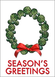 Landscape Christmas Wreath Card