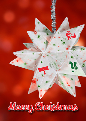 Plumbing Christmas Star (Glossy White) 