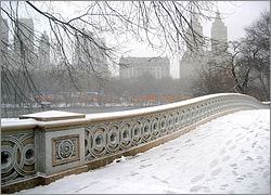 Snow Covered Bridge