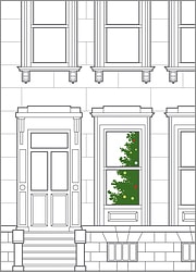 Tree in Window